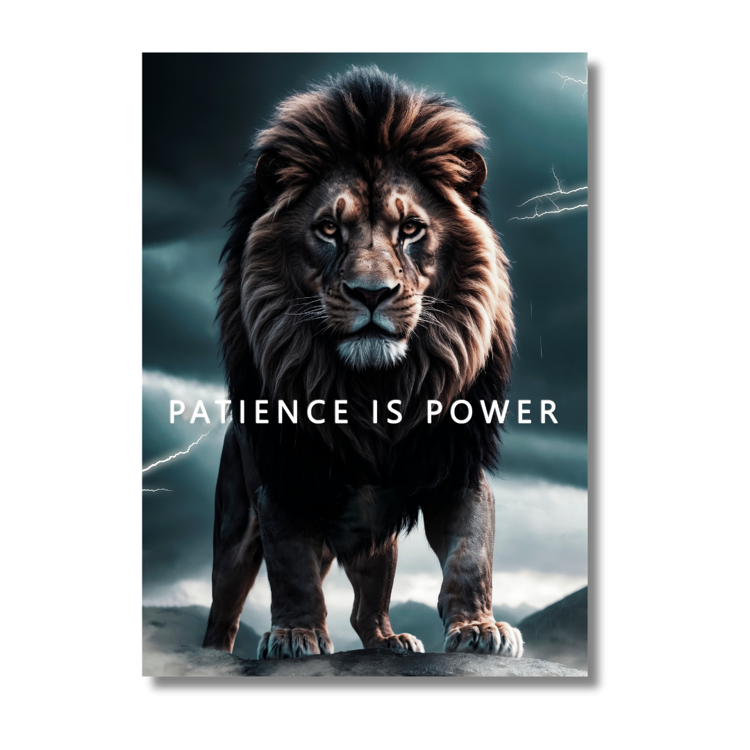 Patience is Power Lion