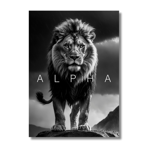 Alpha Lion