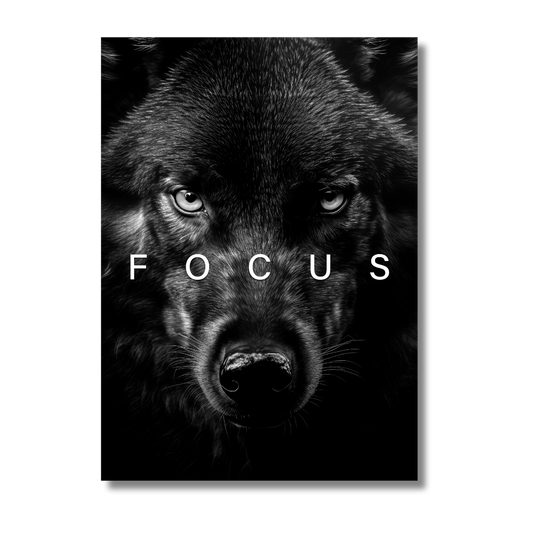 Focus Wolf