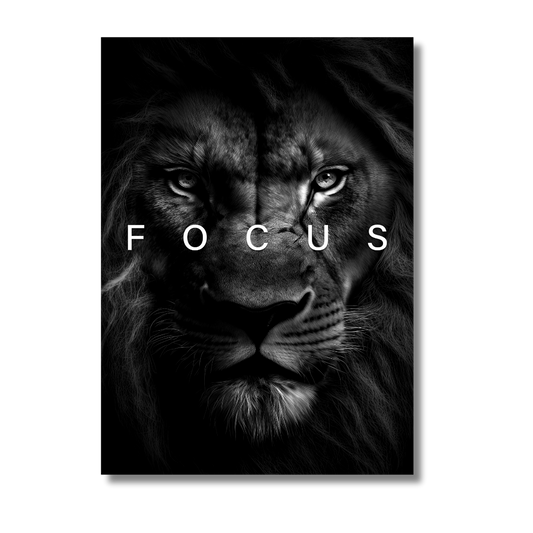 Focus Lion