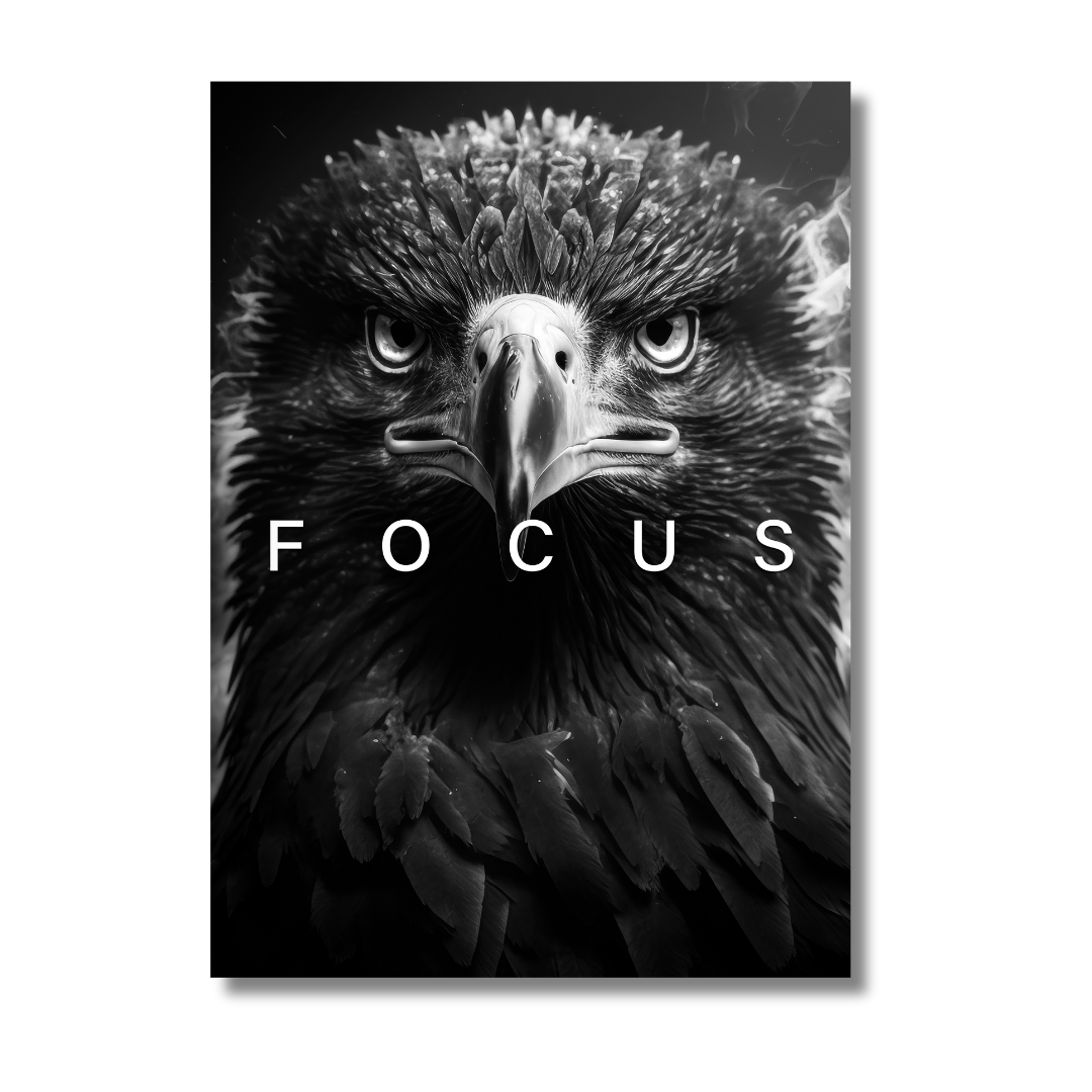 Focus Eagle