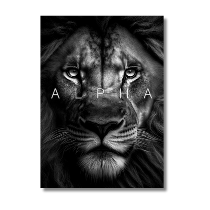 Alpha Lion