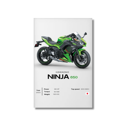 Kawasaki - Ninja 650