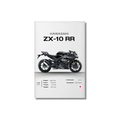 Kawasaki - ZX10 RR