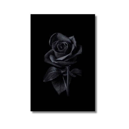 Black Rose