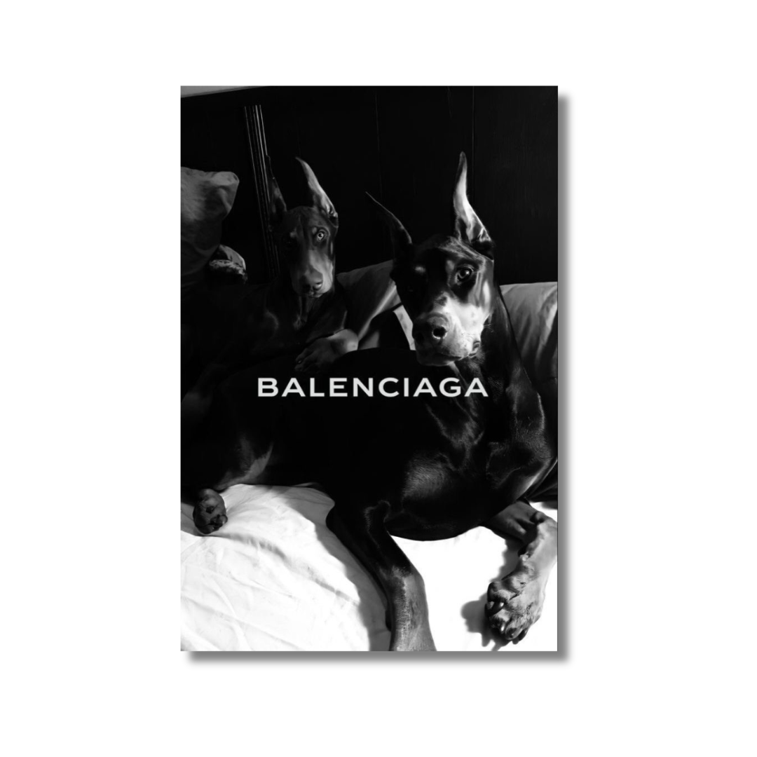 Dobermann x Balenciaga